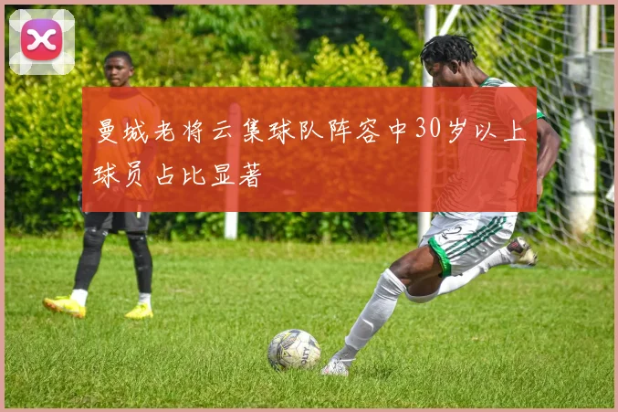 曼城老将云集球队阵容中30岁以上球员占比显著