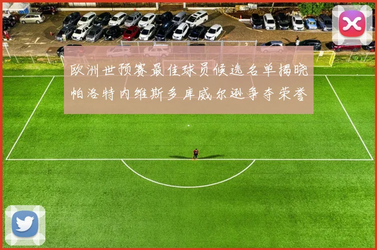 欧洲世预赛最佳球员候选名单揭晓帕洛特内维斯多库威尔逊争夺荣誉