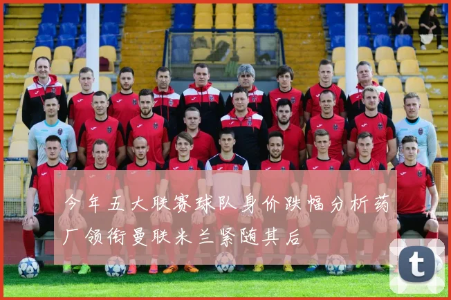 今年五大联赛球队身价跌幅分析药厂领衔曼联米兰紧随其后