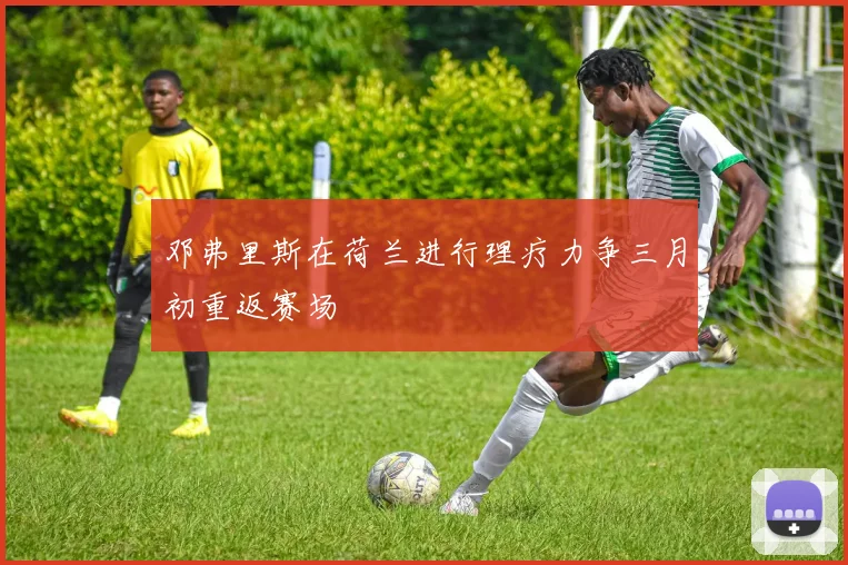 邓弗里斯在荷兰进行理疗力争三月初重返赛场